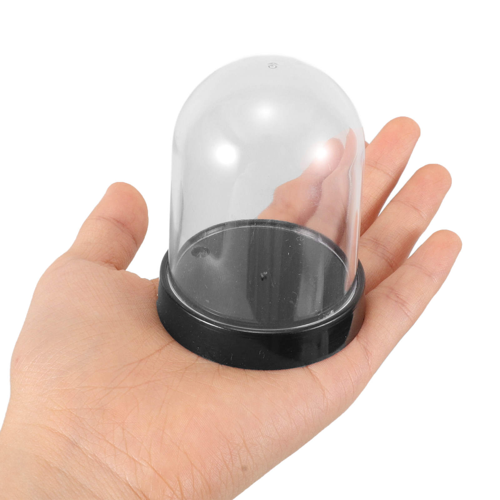 5Sets Clear Plastic Cloche Dom - đánh giá và giá Plastic Dome Clear