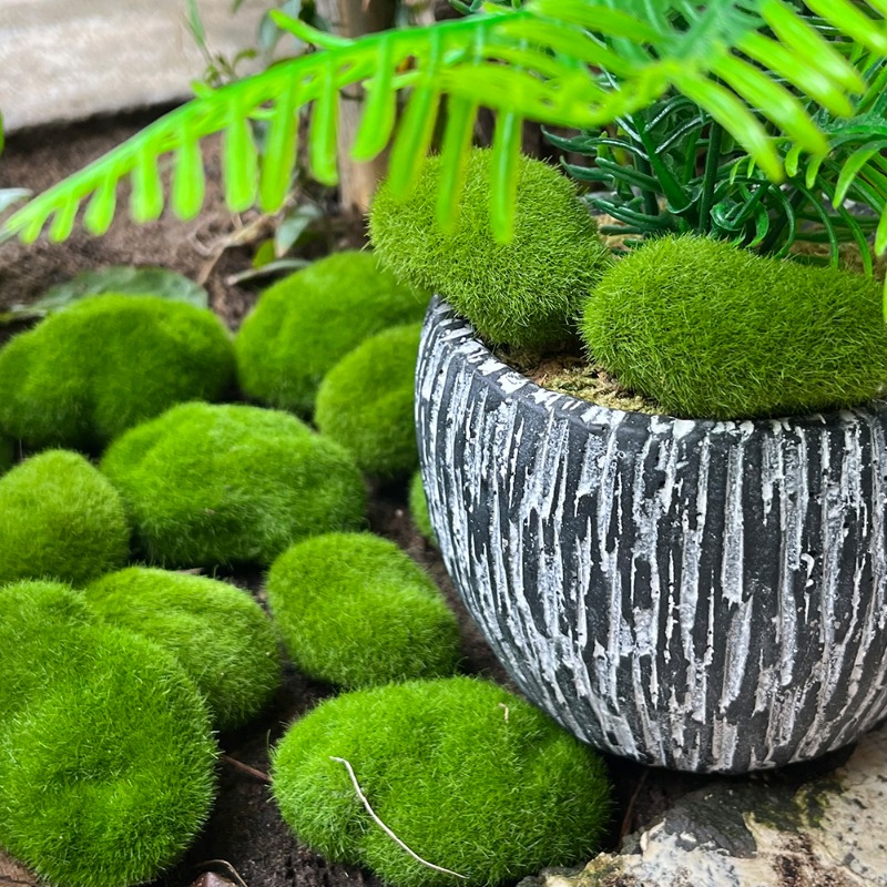 100/5PCS Artificial Moss Rock  - đánh giá và giá Sphagnum Moss Dry