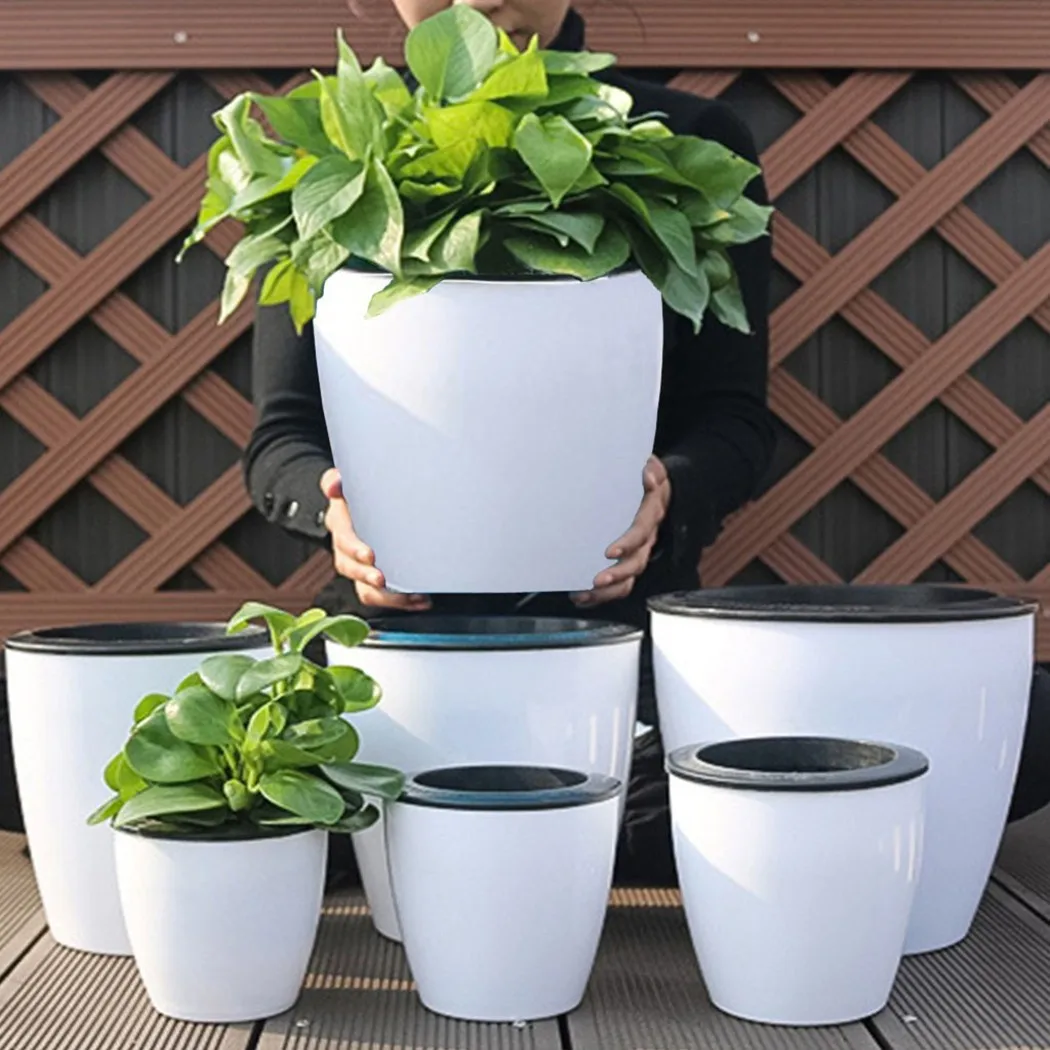 Lazy Flower Pot Self-Watering  - đánh giá và giá Self Watering Insert