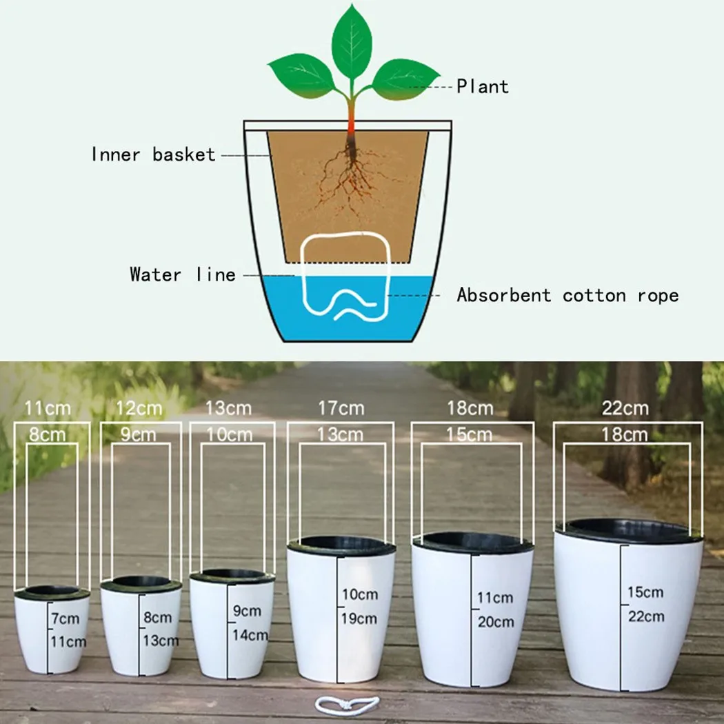 Lazy Flower Pot Self-Watering  - đánh giá và giá Self Watering Insert