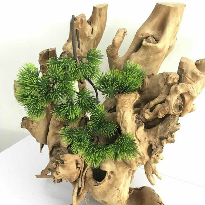 42cm Artificial Plant Pine Bra - đánh giá và giá Sphagnum Moss Dry