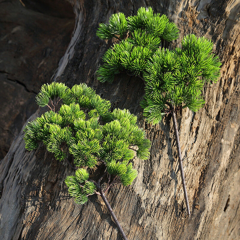 42cm Artificial Plant Pine Bra - đánh giá và giá Sphagnum Moss Dry