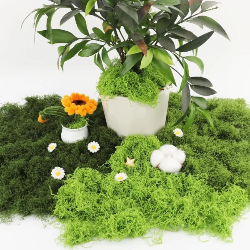 Artificial Green Moss Fake Mos - đánh giá và giá Sphagnum Moss Dry
