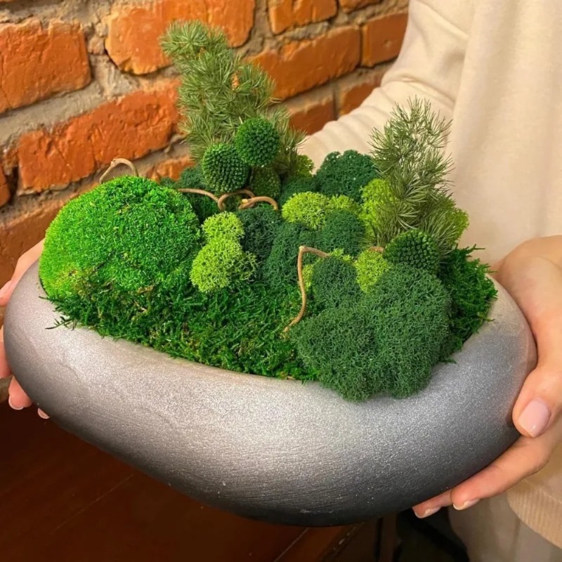 Artificial Green Moss Fake Mos - đánh giá và giá Sphagnum Moss Dry