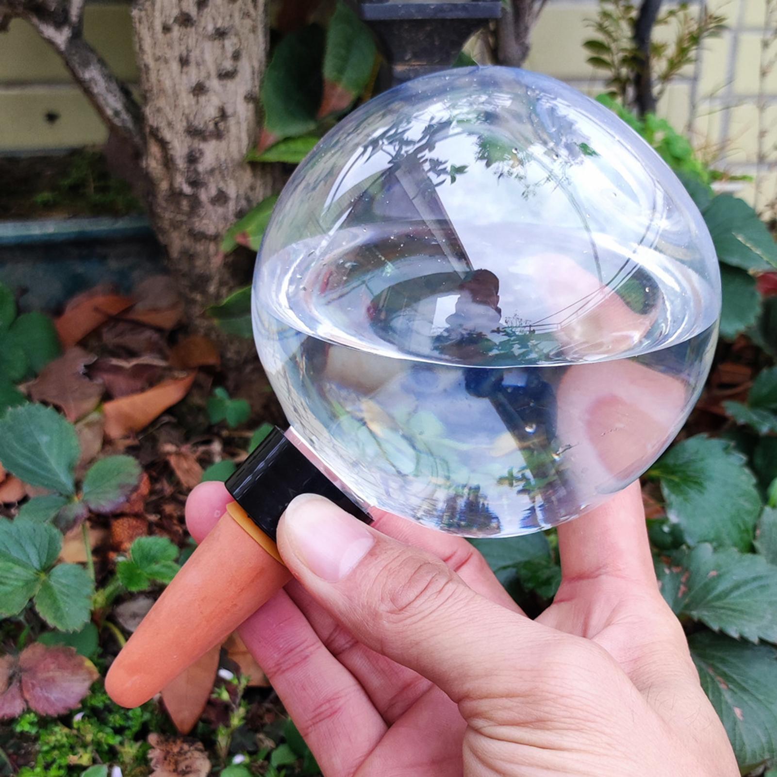 500ml Automatic Plant Watering - đánh giá và giá Self Watering Insert