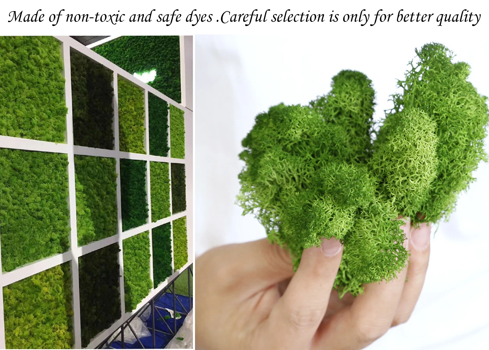 Bảo Quản Rêu Cho Chậu Cây Tự N - đánh giá và giá Sphagnum Moss Dry